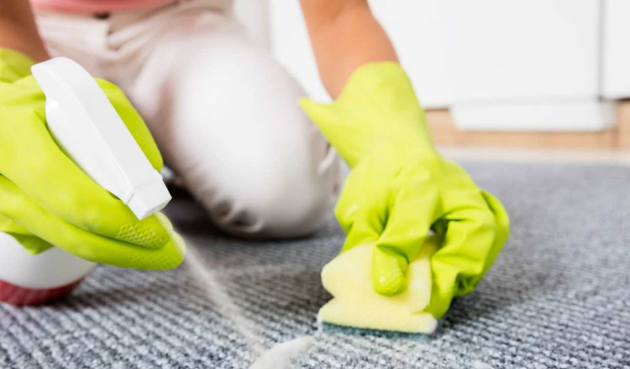 Why You Should Call In Professionals If Your Office Carpets Are Wet